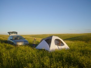 Occupy Fort Pierre National Grassland!